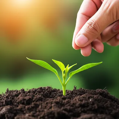 Illustration spend - Image 1