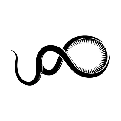 Illustration chronic - Image 1