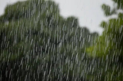 Illustration shower - Image 1