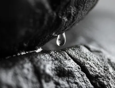 Illustration secreted - Image 1