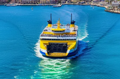 Illustration plies - Image 1