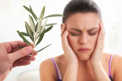 Illustration pacifies - Image 1