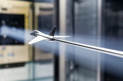 Illustration sting - Image 1