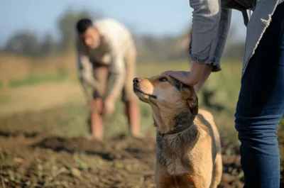 Illustration master - Image 1