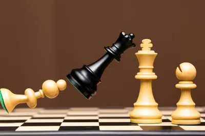 Illustration discovers - Image 1