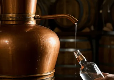 Illustration spirituous - Image 1