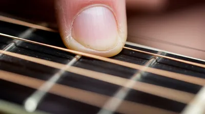 Illustration fret - Image 1