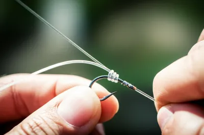 Illustration snell - Image 1