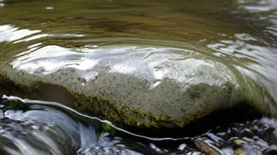 Illustration lapped - Image 1