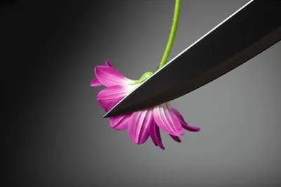 Illustration ruthlessness