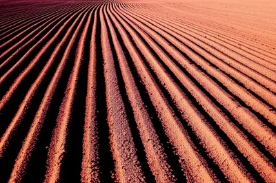 Illustration trench - Image 1