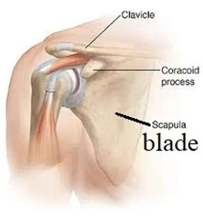 Illustration blade - Image 2