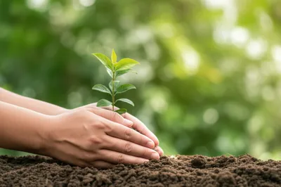 Illustration laps - Image 1