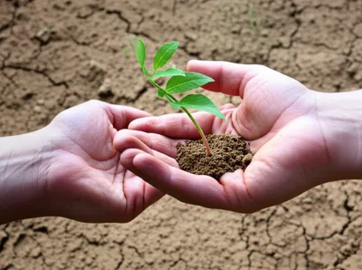 Illustration proffered - Image 1