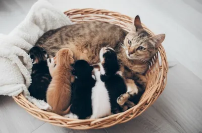 Illustration littering - Image 1