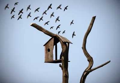 Illustration departed - Image 1