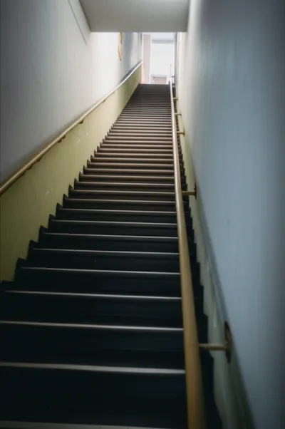 Illustration below - Image 1