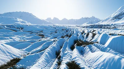 Illustration glacial - Image 1