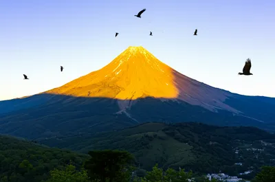 Illustration tops - Image 1