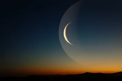 Illustration pt - Image 1