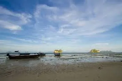 Illustration ebb - Image 2