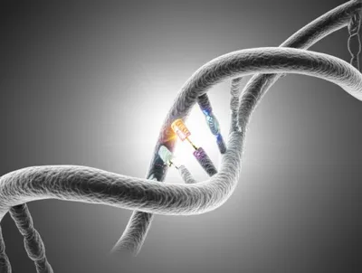 Illustration barcode - Image 1