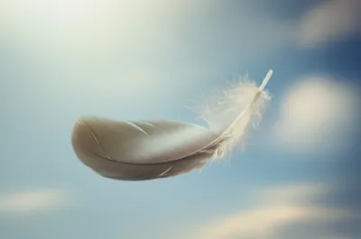 Illustration pens - Image 1