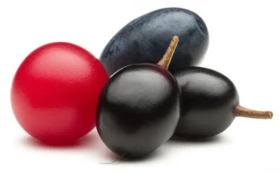 Illustration berry - Image 1