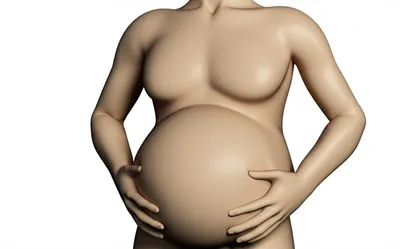 Illustration flesh - Image 1