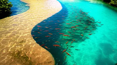 Illustration feeds - Image 1