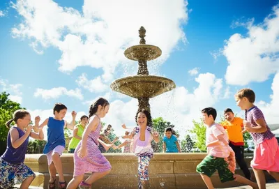 Illustration ploy - Image 1