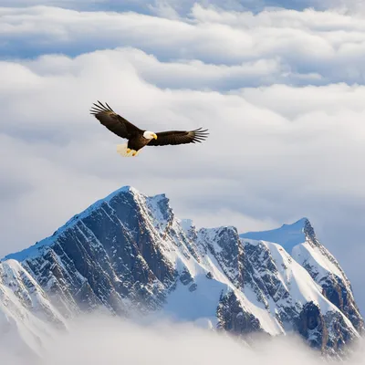 Illustration towered - Image 1