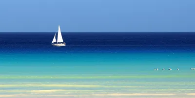 Illustration shoal - Image 1