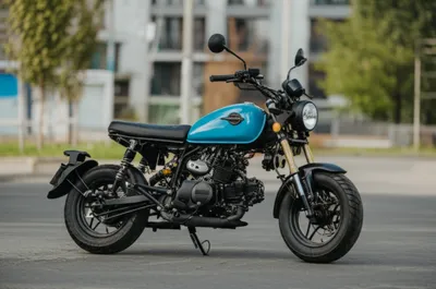 Illustration motorbikes - Image 1