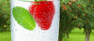 Illustration nonalcoholic - Image 1