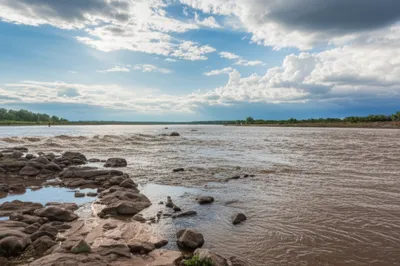 Illustration subsides - Image 1