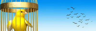 Illustration enslave