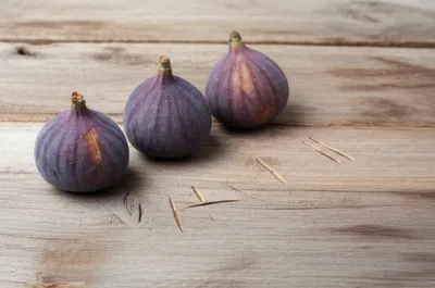 Illustration figs - Image 1