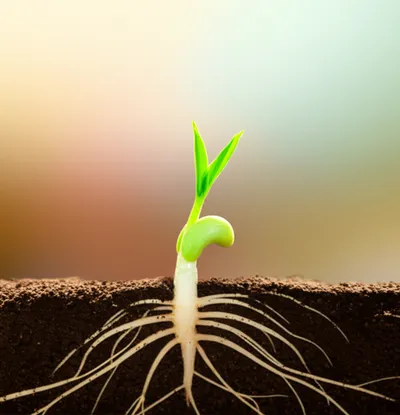 Illustration arising - Image 2