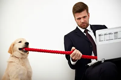 Illustration deter - Image 1