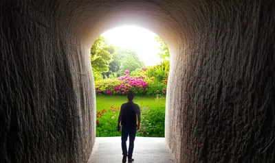 Illustration undergo