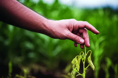 Illustration slay - Image 1