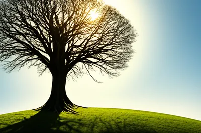 Illustration honor - Image 1