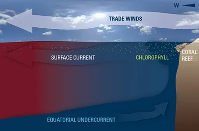 Illustration undercurrent - Image 2