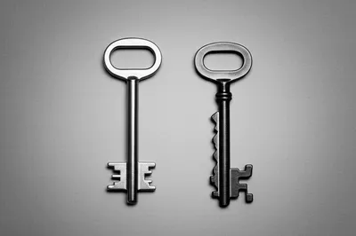 Illustration bogus - Image 1