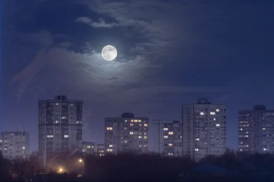 Illustration sleeps - Image 1