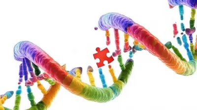 Illustration excision - Image 1