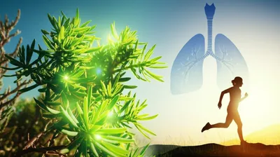 Illustration ephedrine