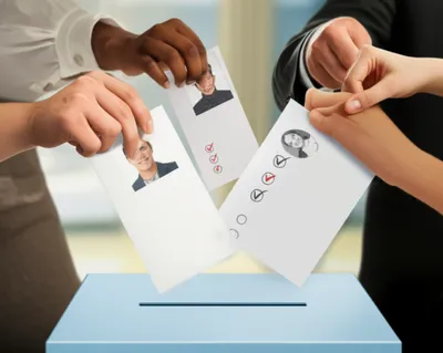 Hình ảnh minh họa elected - Ảnh 1