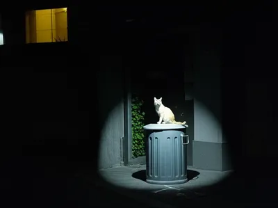 Illustration flasher - Image 1